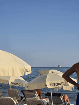 Test auto tv — slika 1